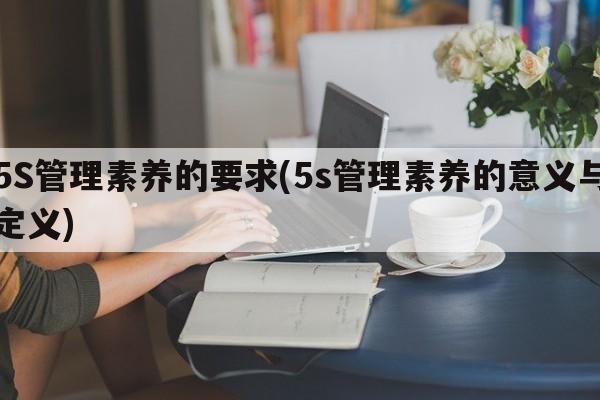 5S管理素养的要求(5s管理素养的意义与定义)