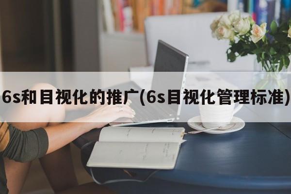 6s和目视化的推广(6s目视化管理标准)